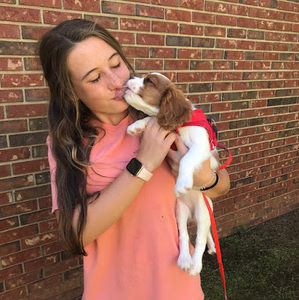 Meet your Posher, Brooklyn